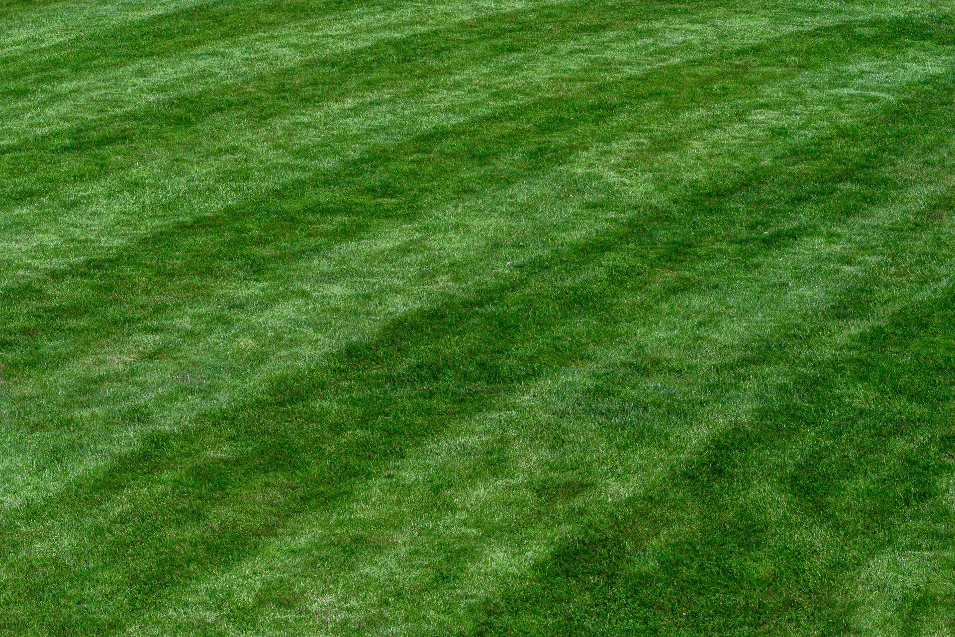 a baseball player standing on top of a lush green field